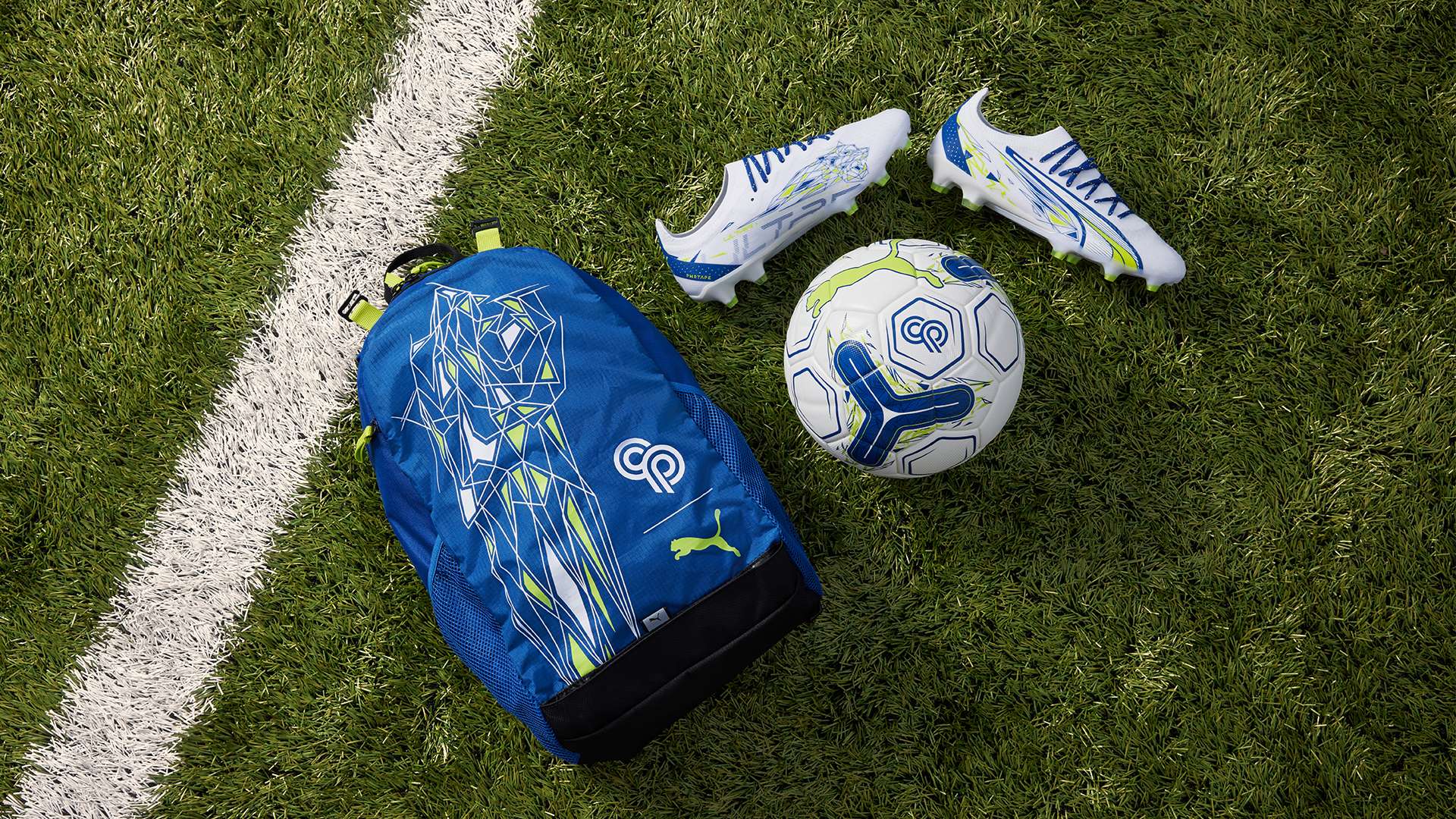 在这个激动 在这个激动